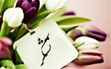 تشکر و قدردانی از زحمات دکتر وثوقی